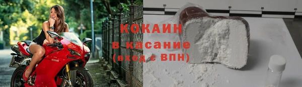 твердый Алзамай