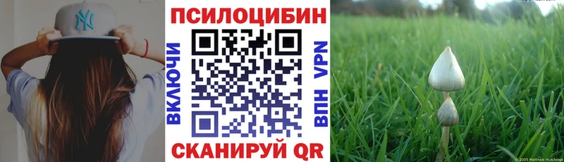 нарко площадка клад  Томари  Псилоцибиновые грибы GOLDEN TEACHER 